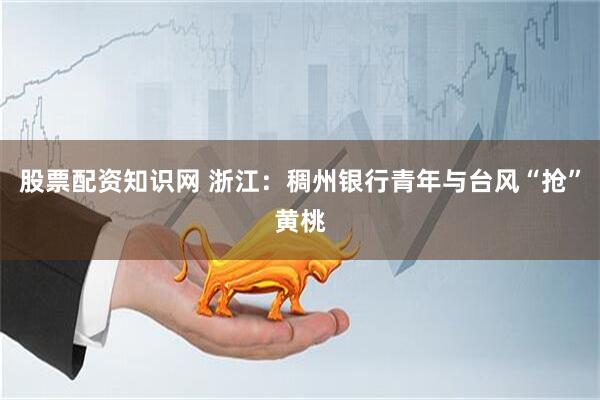 股票配资知识网 浙江：稠州银行青年与台风“抢”黄桃