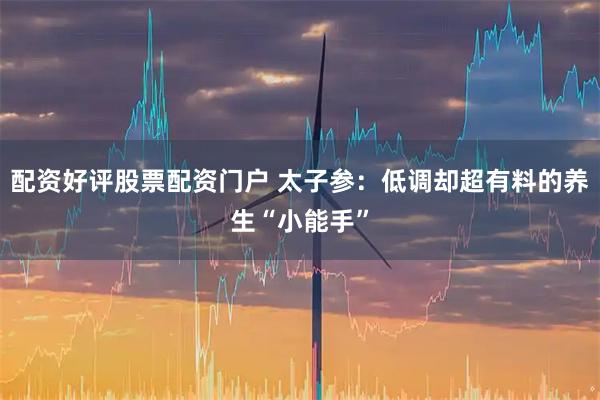 配资好评股票配资门户 太子参：低调却超有料的养生“小能手”